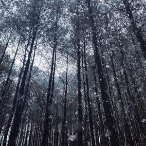 欧美午夜色情一级毛片
