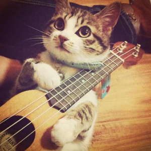 欧美午夜色情一级毛片
